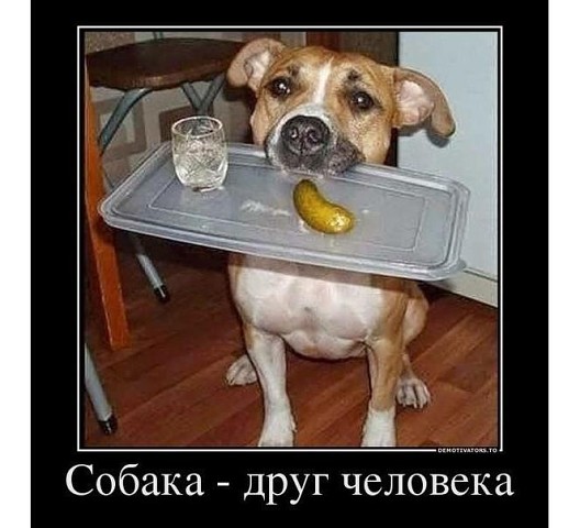 imageва.jpg