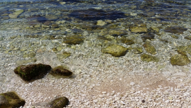 20170825_115549.jpg