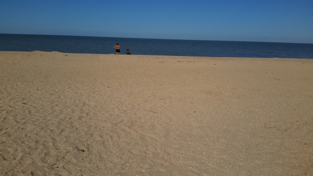 20150722_082824.jpg