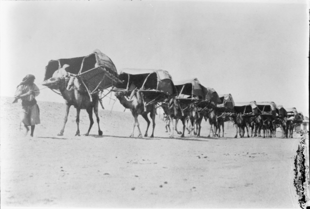 lossless-page1-800px-Camel_Caravan_to_Mecca,_1910.tif.png