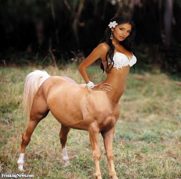 Lady-Horse--89482.jpg