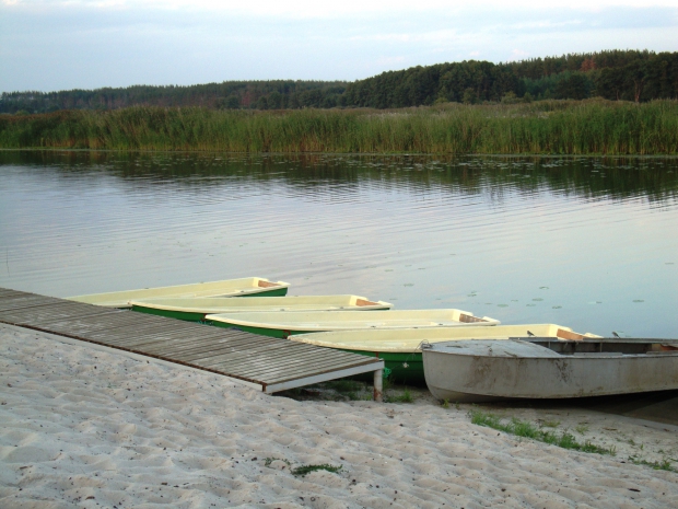 DSC05384.JPG