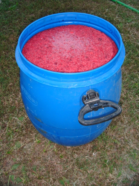 DSCF8458.JPG
