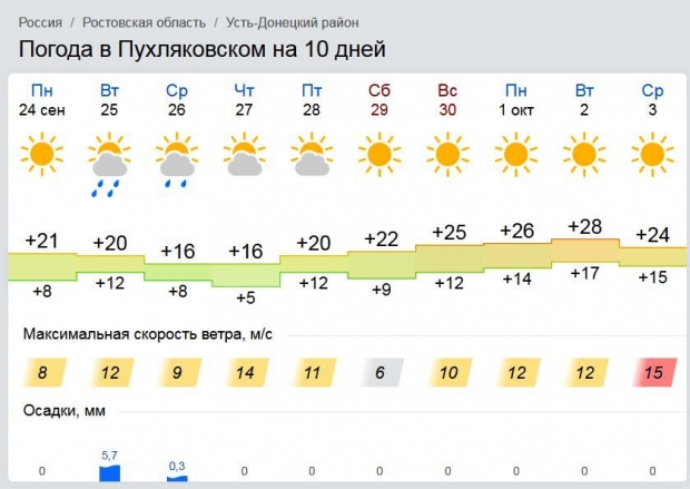 Новый рисунок (7).jpg