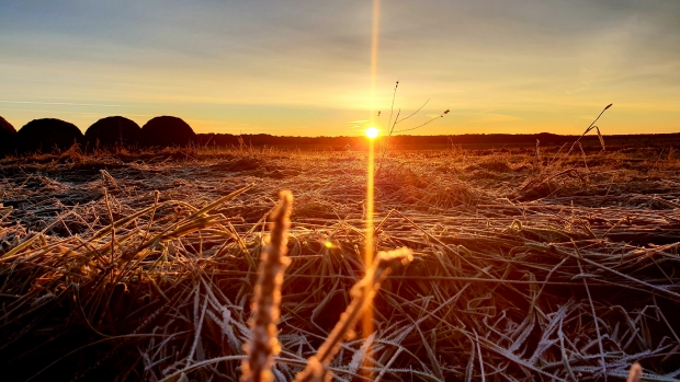 20181009_071758.jpg