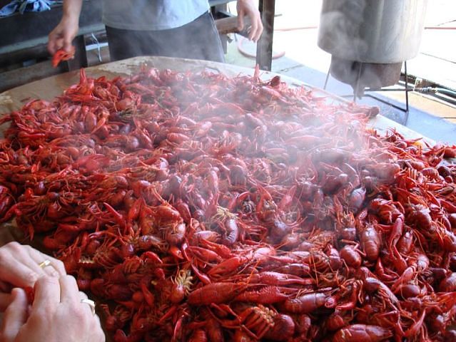image56.jpg