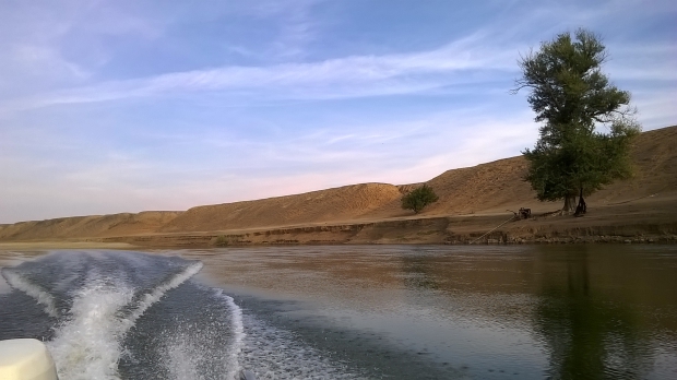 WP_20151006_14_18_38_Pro.jpg