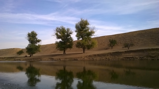 WP_20151006_14_18_45_Pro.jpg