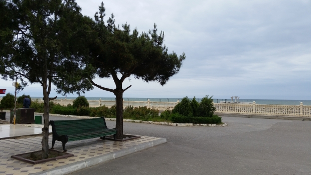 20190510_120255.jpg