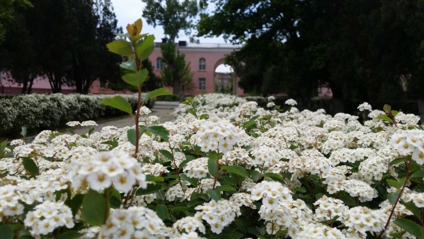 20190510_121700.jpg