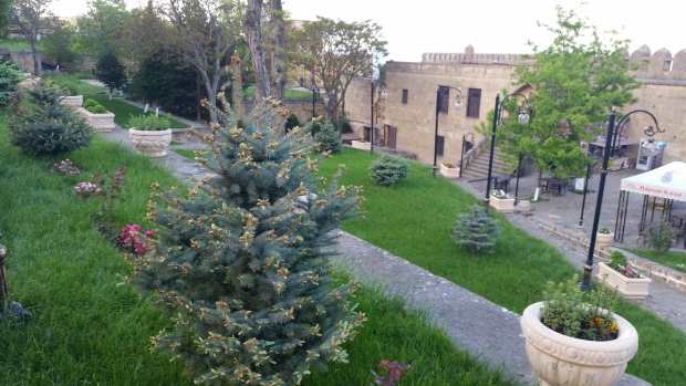 20190511_171039.jpg