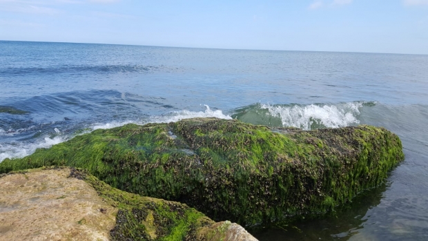 IMG-20190511-WA0026.jpg