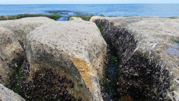 20190511_132820.jpg