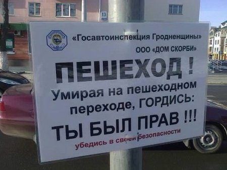1412140193_avtoprikoly-1.jpg