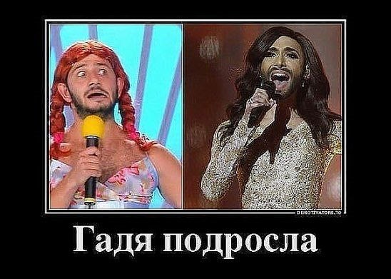 image (1).jpg