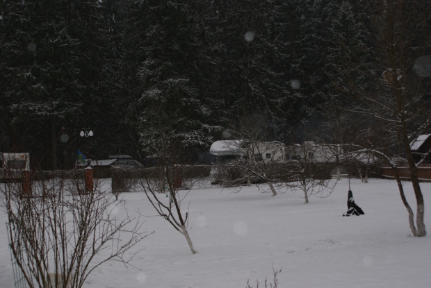 DSC05836.JPG