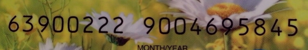11018494.jpg