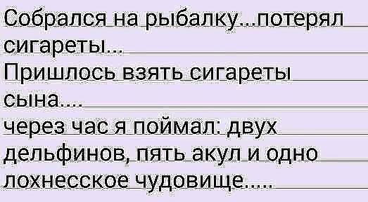 12592347_498050140367105_5371275913345519812_n.jpg