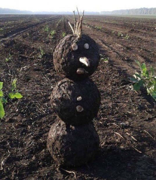 Mud-snowman.jpg