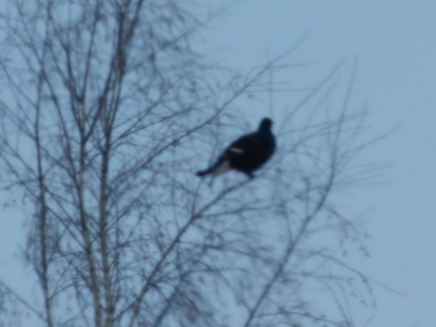 DSCN9978.JPG