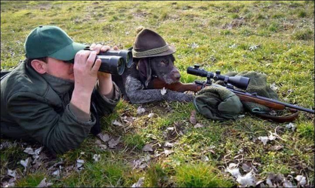 снайперская пара.jpg