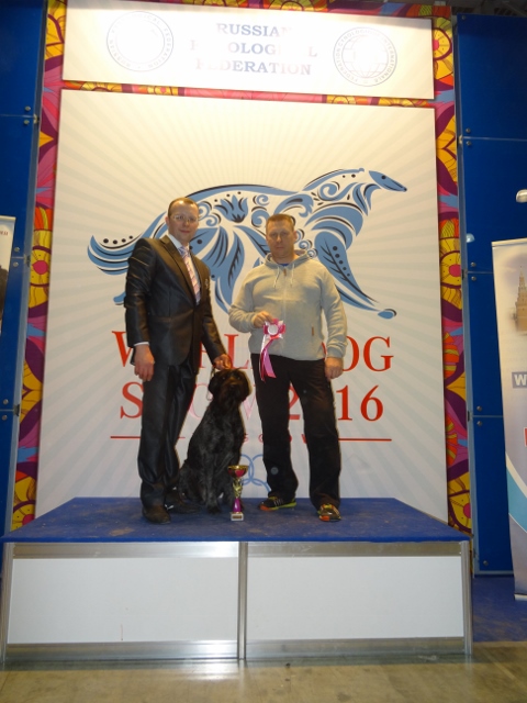 DSC03958 (480x640).jpg