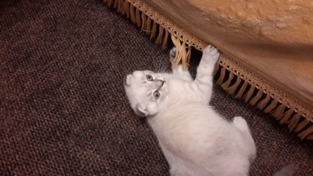 20160224_212637.jpg