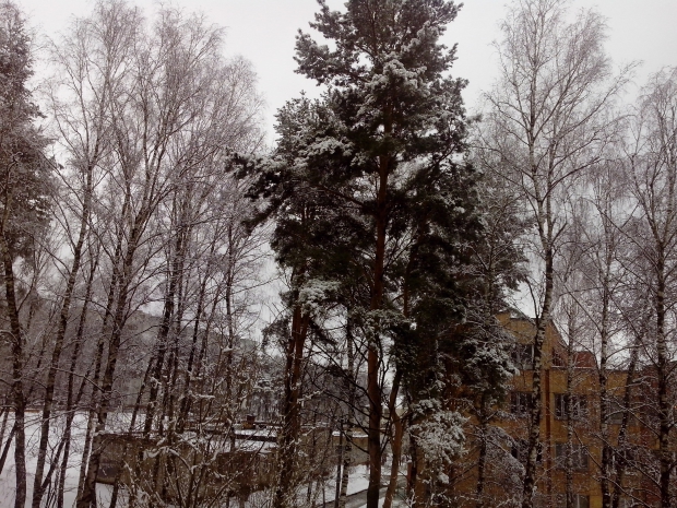 IMG_20160225_112135.jpg