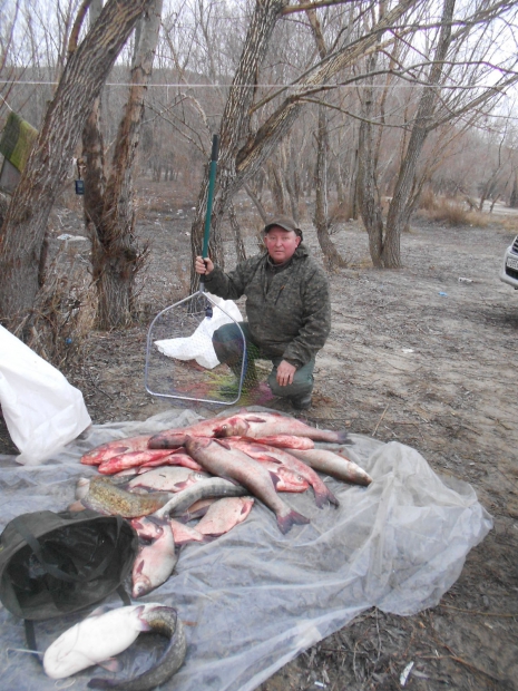DSCN0940.JPG