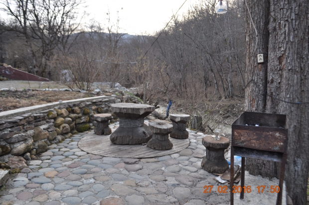 DSC_6996.JPG