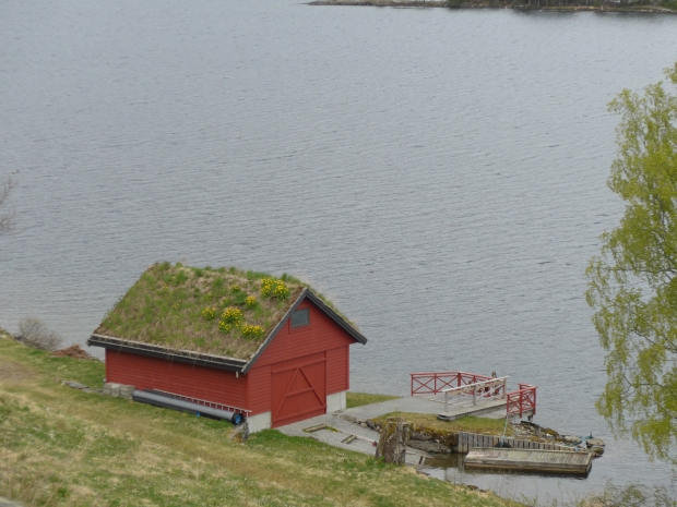 P1020583.JPG