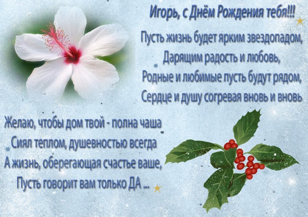 4235863_large.jpg