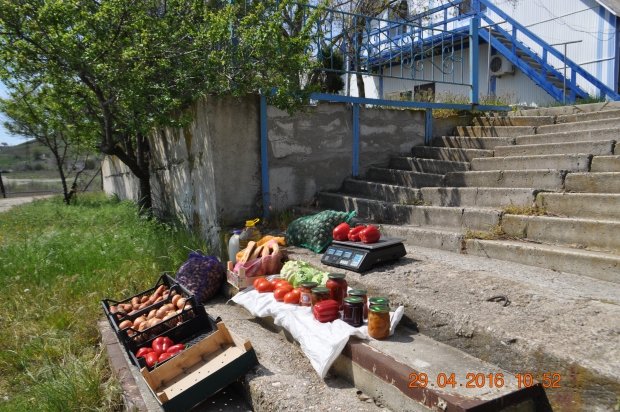 DSC_7344.JPG