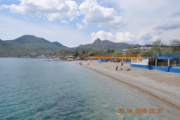 DSC_7446.JPG