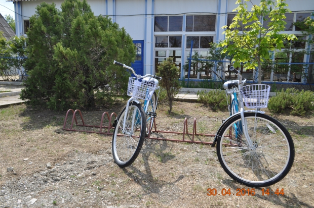 DSC_7463.JPG