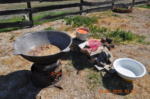 DSC_7503.JPG