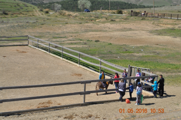 DSC_7505.JPG