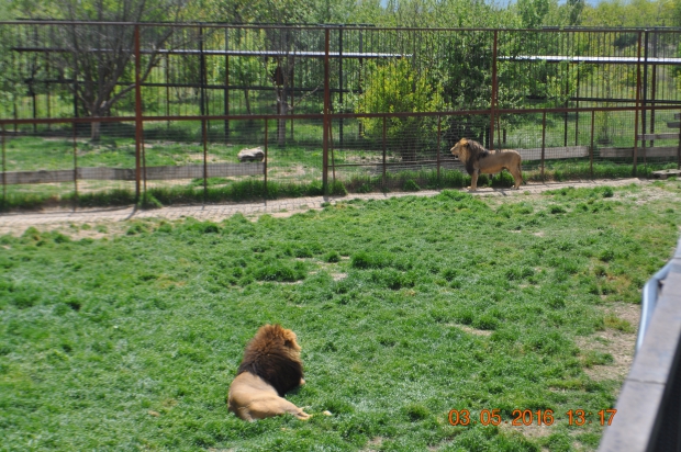 DSC_7593.JPG