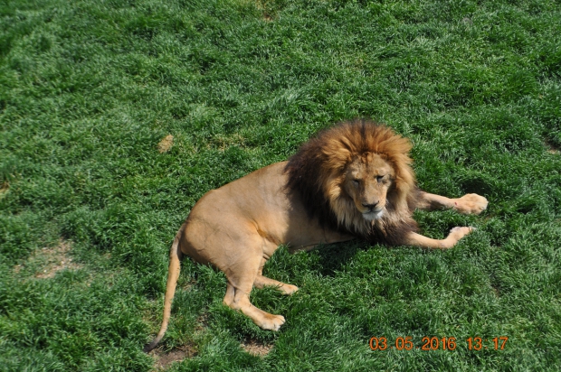 DSC_7596.JPG