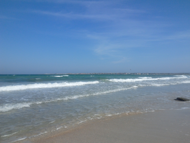 IMG_20210811_104851.jpg