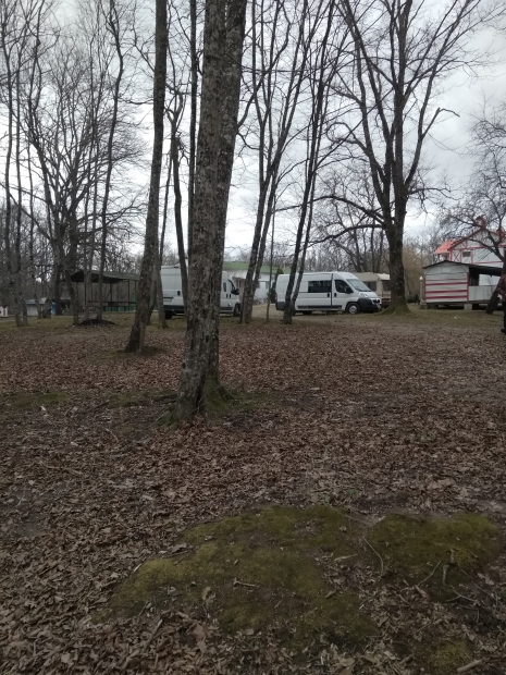 IMG_20211205_110427.jpg