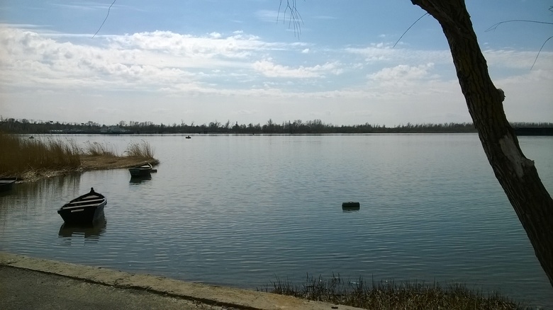 WP_20150406_001 1.jpg
