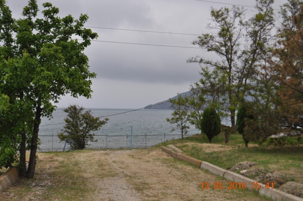 DSC_7966.JPG