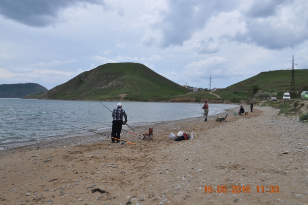 DSC_7991.JPG