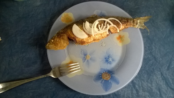 WP_20150408_003 1.jpg