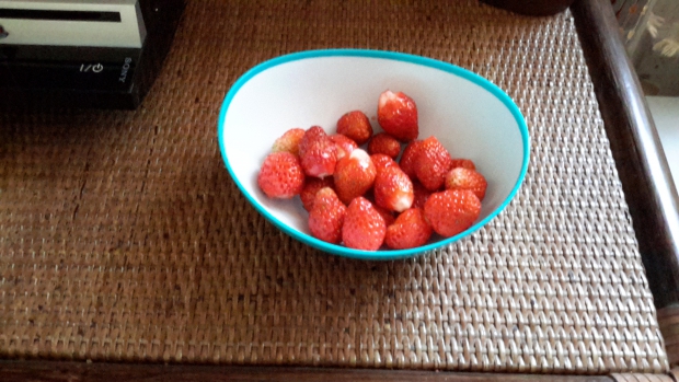 20160528_114025.jpg