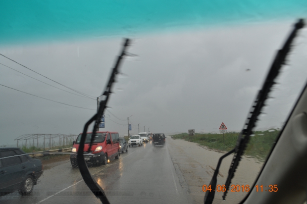 DSC_8174.JPG
