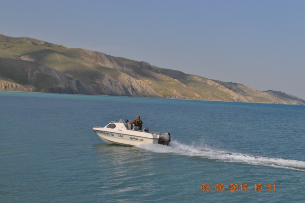 DSC_8195.JPG