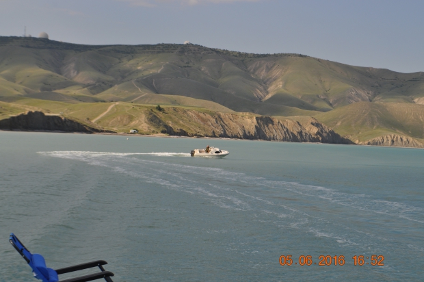 DSC_8231.JPG