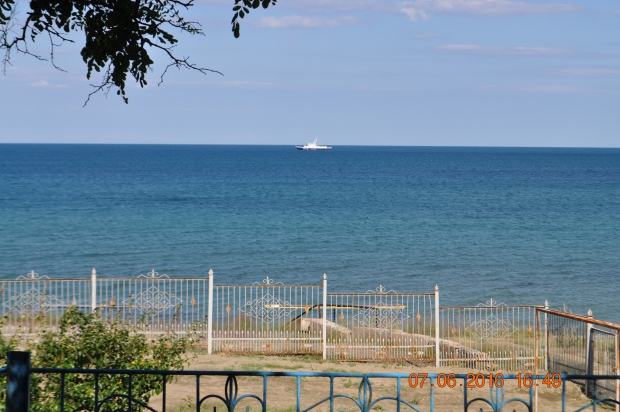 DSC_8296.JPG